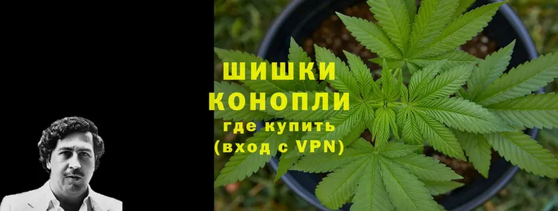 Марихуана OG Kush  Шагонар 